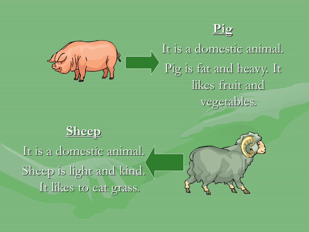 Pig It is a domestic animal. Pig is fat and heavy. It likes fruit